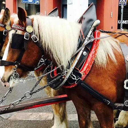 Punavuori Floor 45 M2 Lejlighed *